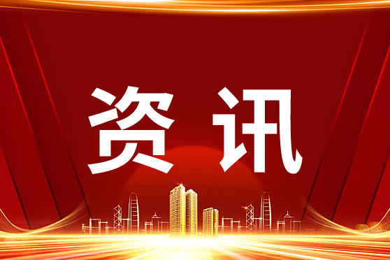 中共中央 國務院關于促進民營經濟發展壯大的意見